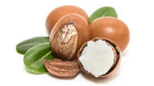 TCDA sets GH₵9.01/kg as new price for shea nuts