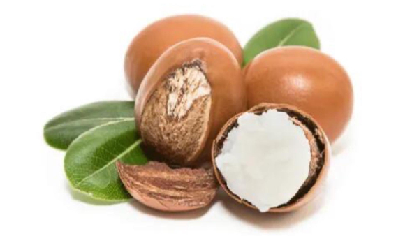 TCDA sets GH₵9.01/kg as new price for shea nuts