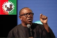 Labour Party's flagbearer, Peter Obi, lost the election petition against Tinubu