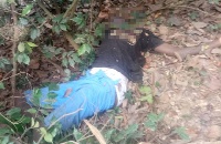 The lifeless body of 16-year-old Kweku Gyamerah