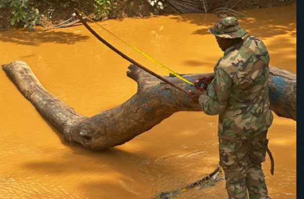 The development follows a directive from President John Dramani Mahama