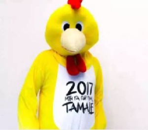 MTN Mascot