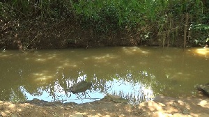 Volta Struggles: Lost livelihoods as Volta river dries up