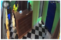 A screenshot of the footage