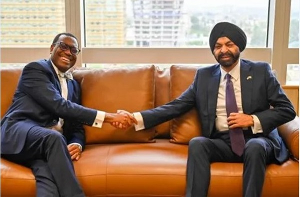 President of AfDB, Dr Akinwumi Adesina, and President of the World Bank, Ajay Banga Credit: Vanguard