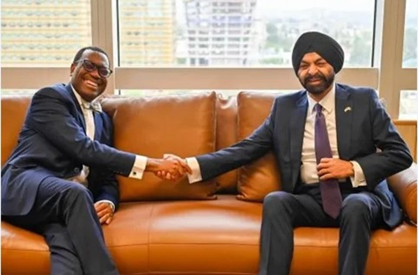 President of AfDB, Dr Akinwumi Adesina, and President of the World Bank, Ajay Banga Credit: Vanguard