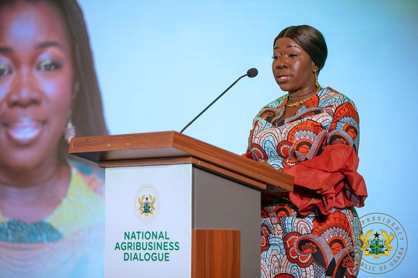 Elizabeth Ofosu-Adjare, Minister of Trade, Agribusiness and Industry