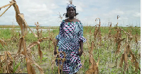 Mema Fwa lost most of her farm harvest sake of flood and drought