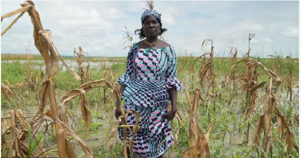 Mema Fwa lost most of her farm harvest sake of flood and drought