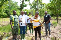 Bright Dokosi with other executives planting a tree