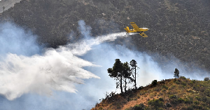 water bomber plane drops water on bush fires in Tablat, Algeria, 25 August 2024 water bomber plane drops water on bush fires in Tablat, Algeria, 25 August 2024