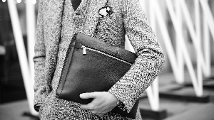 Purse Holder 1