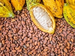 Cocoa crisis deepens with Ghana set to lose access to bank loan