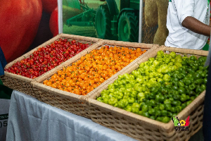 Felix Kamassah has called for increased investment for agriculture sector
