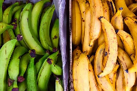 The FDA said it will continue its food safety education and market surveillance activities