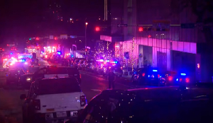 Screenshot 2026 03 01 155503.png