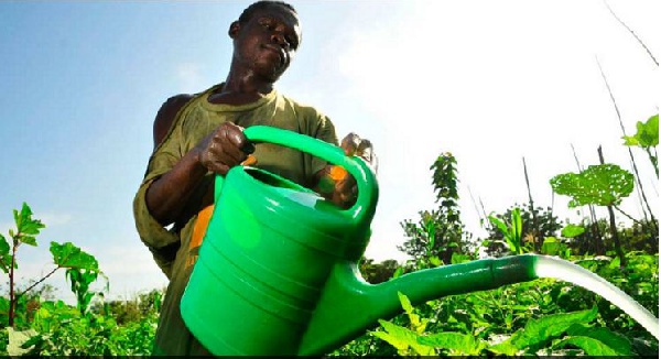 Farmers have expressed interest in acquiring the fertilizer for the upcoming farming season
