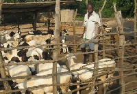 File photo: A farmer with his goats