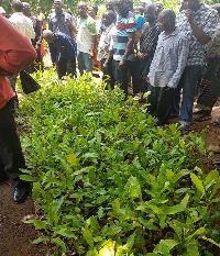 The presentation of the seedlings was government's effort to provide sustainable livelihood