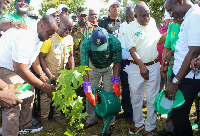 Otumfuo planting a tree at the Royal Golf Club in Kumasi