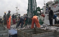 A fishing harbour. File photo