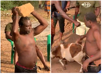 A man has been subject to torture after allegedly sleeping with a sheep