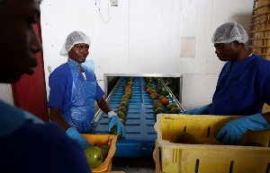 Factory workers producing fruit drinks