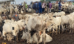 24-Hour Livestock Market launched to drive economic growth