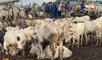 Livestock market in Ghana