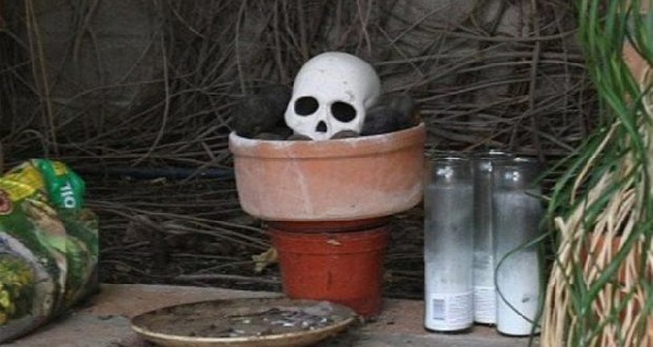 Educational institutions to take bold measures to halt occultism practices