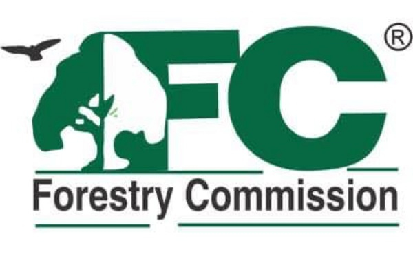 File photo of a mob in protest