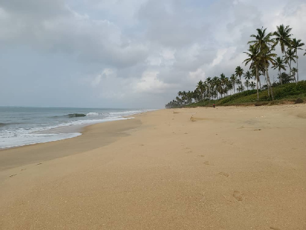 \'Friends of Nature\' urges companies to set funds to help fight sanitation on Ghana’s beaches