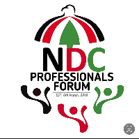 NDC Professionals Forum