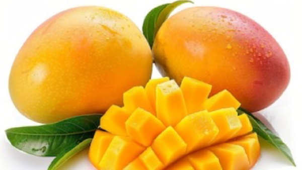 Mango is rich in vitamins, good for the heart, eyes and for digestion | File Photo