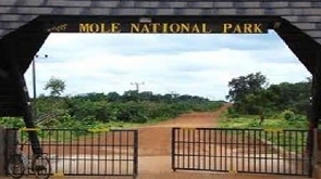 The Park is home to elephants, leopards and rare birds