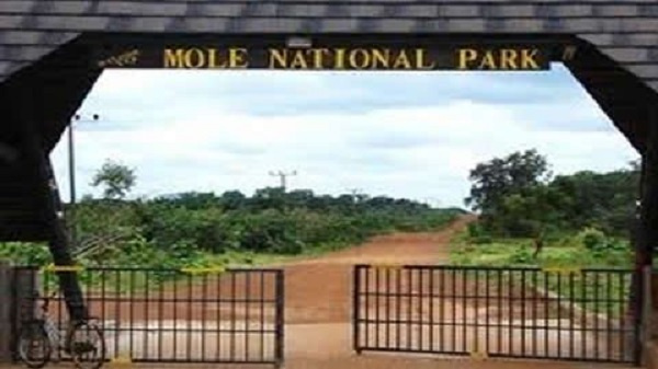 CSOs rubbish Minerals Commission’s claim over Mole National Park