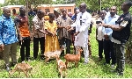 damu Yakubu, Sissala East MCE (in white dress) presenting goats to some beneficiaries