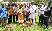damu Yakubu, Sissala East MCE (in white dress) presenting goats to some beneficiaries