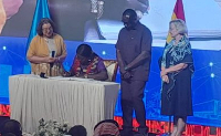 Elizabeth Ofosu-Adjare is the Minister for Trade, Agribusiness and Industry