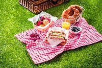 A picnic date