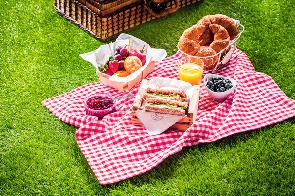 A picnic date