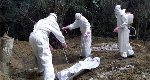 Nigeria records first Ebola case of Africa's latest outbreak