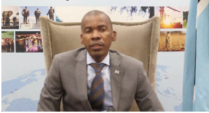 Botswana is dealing with its own immigration issues, the country's foreign minister says