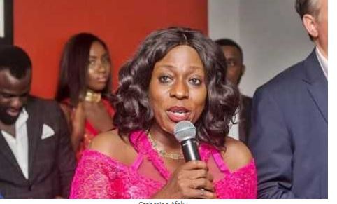Ms Afeku also denied that the Kintampo Waterfall was seized by NPP vigilante group
