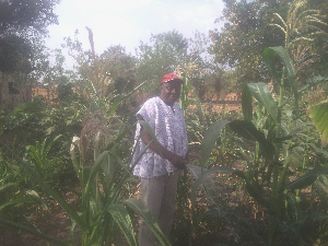 Joseph Abarike in his farm in the Upper East Region