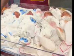 Ghana makes history with world’s 1st quadruplets from traditional surrogacy