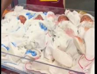 The quadruplets were delivered through Intra-Uterine Insemination (IUI)