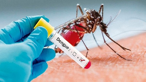 File photo of someone testing positive for Dengue fever