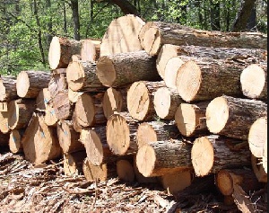 Some rosewood illegally harvested
