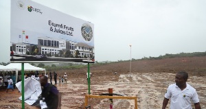 The site for the Ekumfi pineapple factory